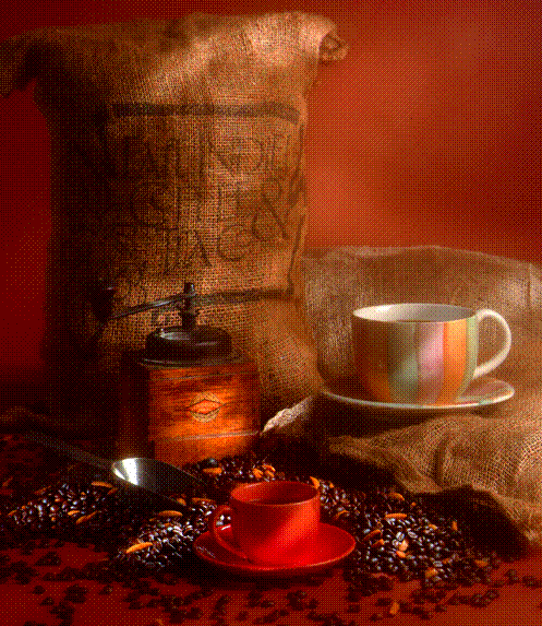 Our Coffees